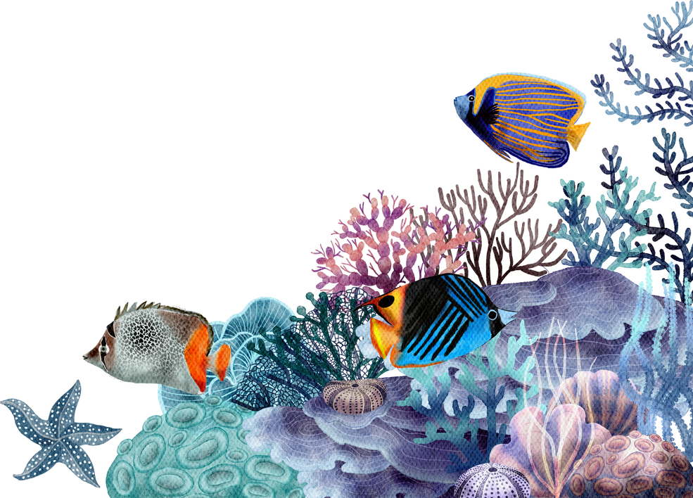 under ocean life element with watercolor painted , Coral ree