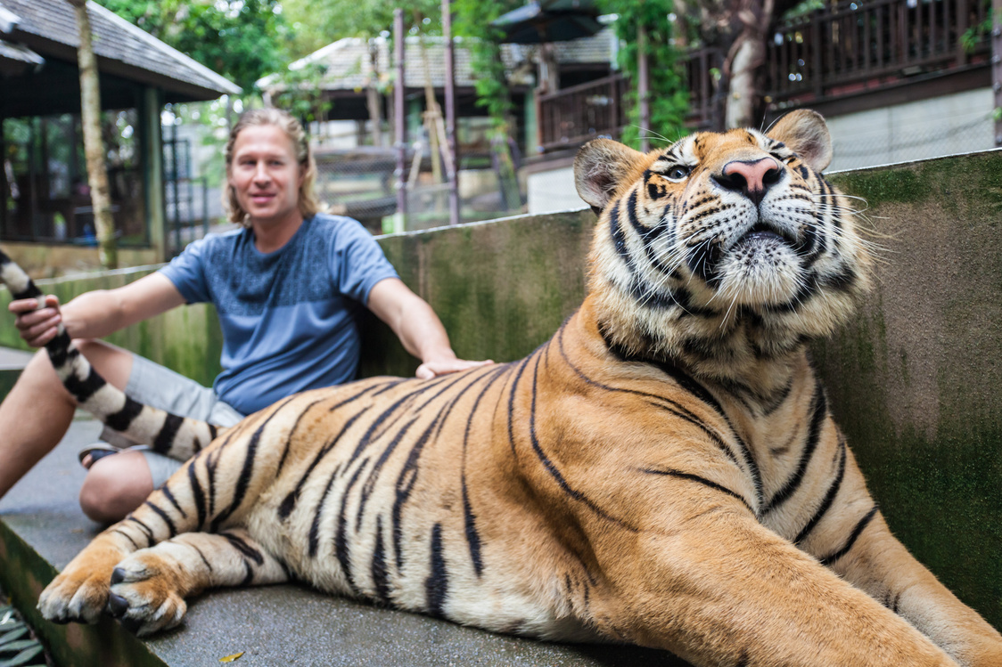 Guy Hugging Tiger